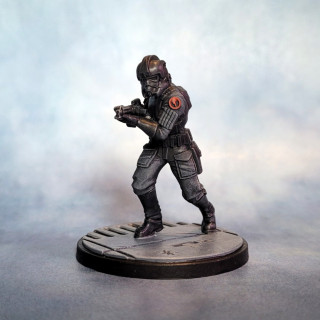 Er...some TIE Fighter pilots, I guess?