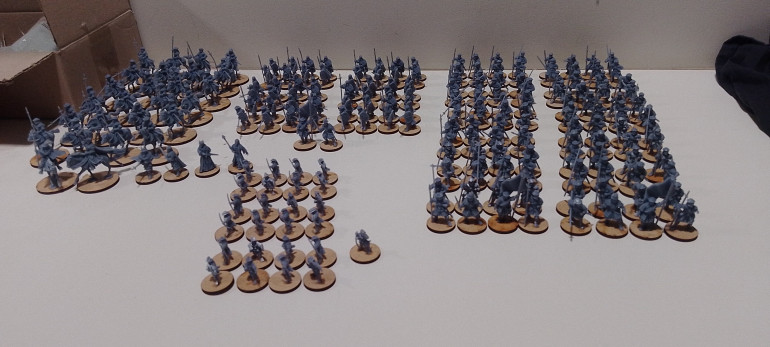 The Project. 24 Knights of Arnor, 64 Arnor Veterans, 24 Hobbit Archers, 96 Warriors of Arnor. Plus Command and Characters all from Medbury, printed on my Anycubic Photon Mono 4K.