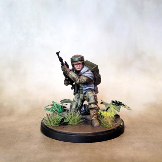 Welcome to the forest