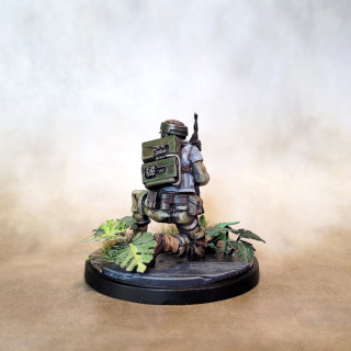 Welcome to the forest