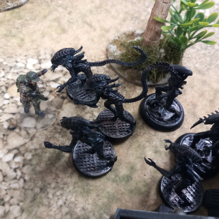 Scenario one The comms tower