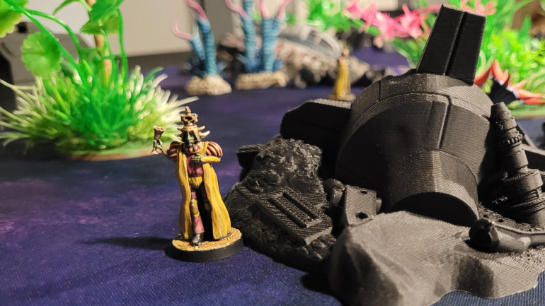 The Coalition Monarch tries desperately not to be noticed.