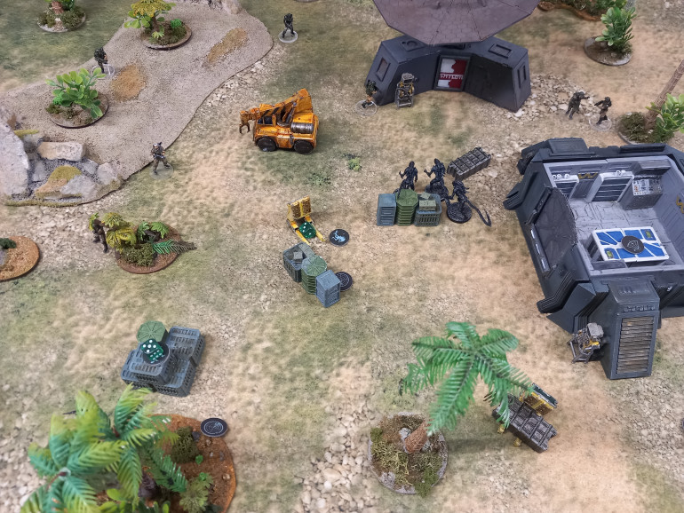 The spawning aliens started to build up which made moving on the cargo stack very dangerous. Sgt Beck goes down shooting