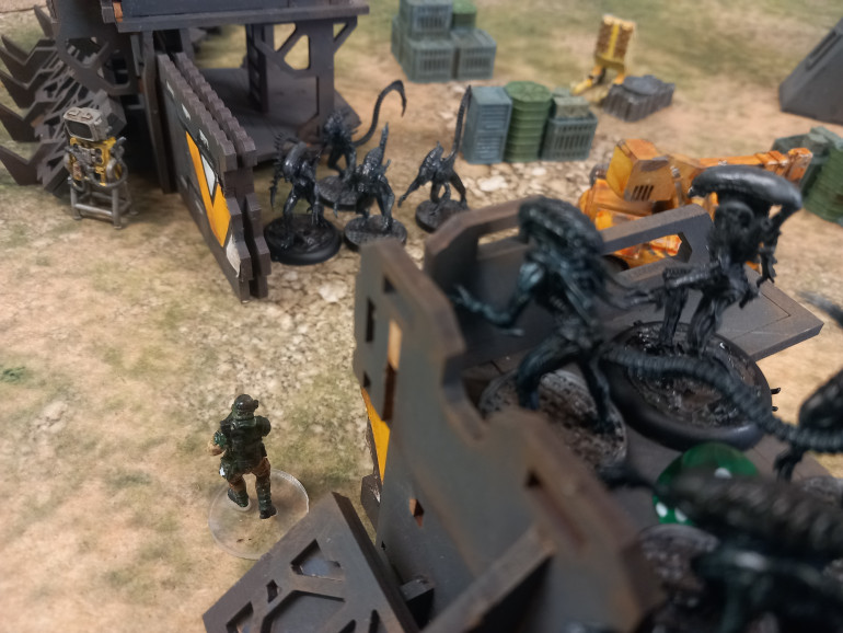 Private Gallagher approaches the settlements outer gate triggering a number of encounters which spawn an overwhelming number of bugs. Gallagher life signs soon flailing.