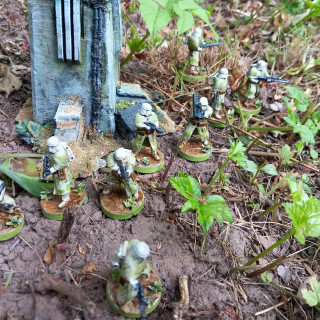 More Yavin4