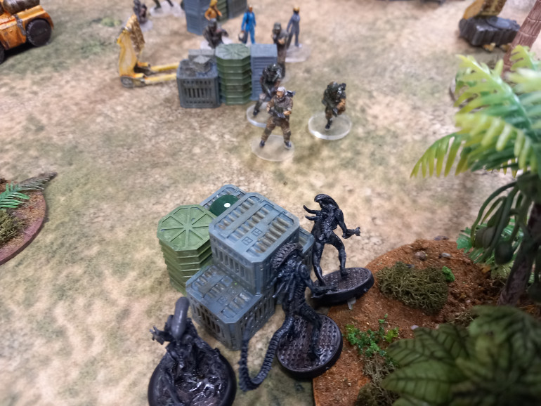 Sgt Beck secured the supplies as out of the jungle the creatures spproach.