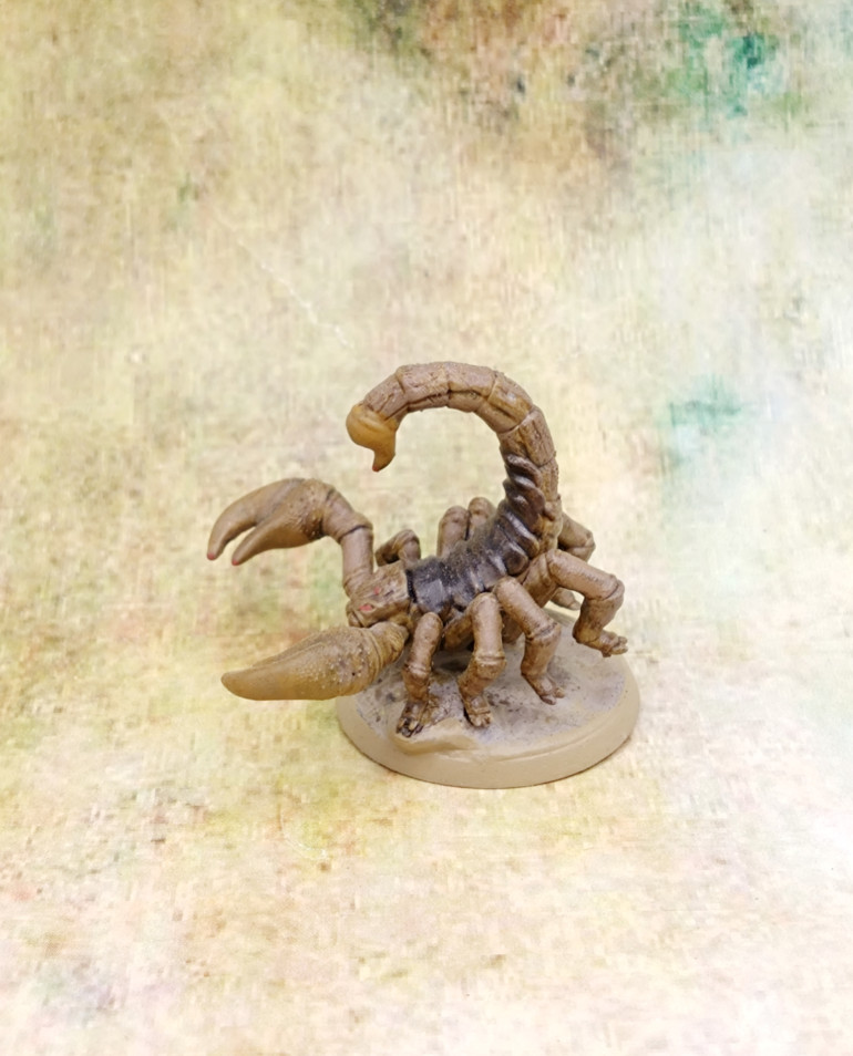 I used some Wyldwood Contrast on the back scales. I used a yellow shade on the poison sting at the end of the tail. The rest was just Agrax Earthshade and Zandri Dust drybrush.