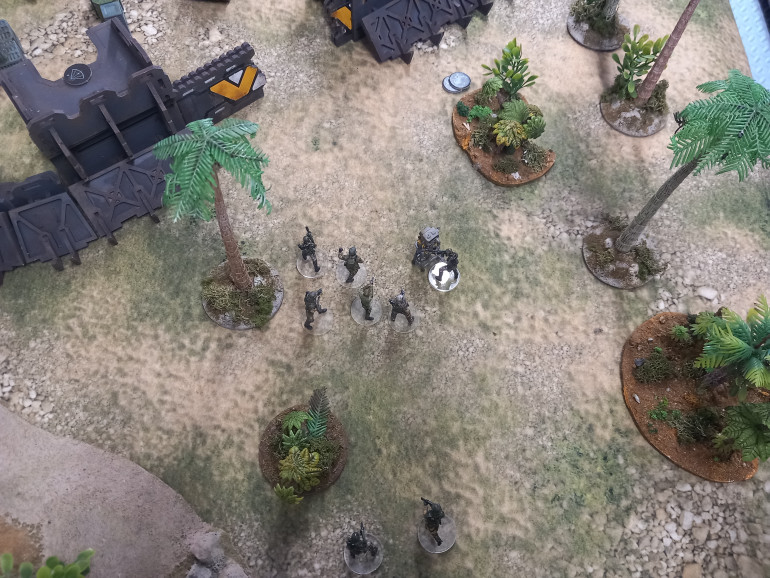 With the manifest secure the team head towards the colony entrance. Signals beep behind them encouraging them forward.
