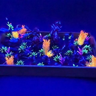 Damn that Dances with Blue People