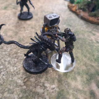 Scenario two: Brierley's Post