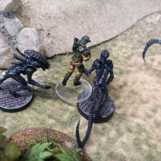 Scenario one The comms tower