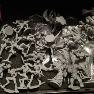 Photos of the teams coming out of storage