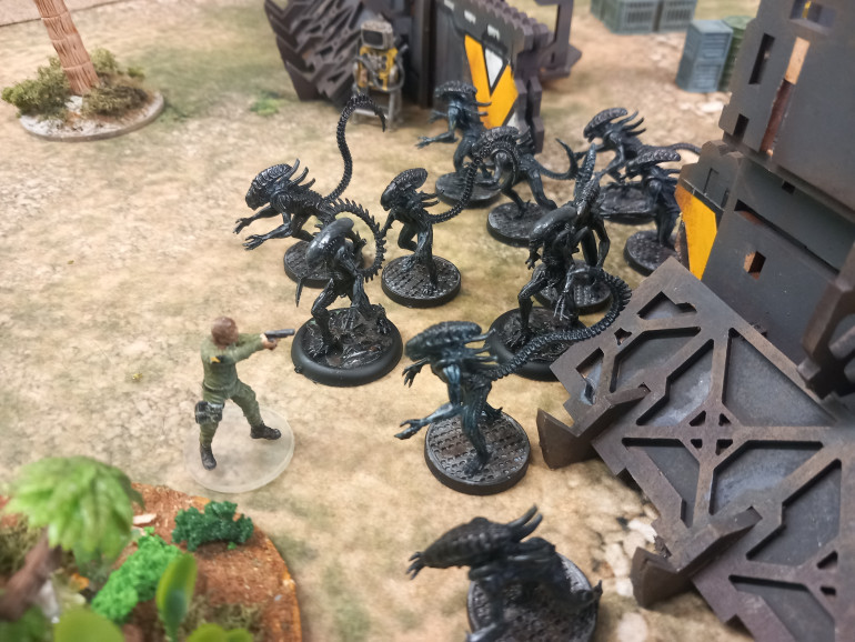 The security officer knows what's coming  as the horde erupts towards him. He falls back with his saviours laying down a suppressive fire. Private Jenkins desperately tries to hack the colony manifest. He repeatedly fails and only succeeded after beating back a xeno.