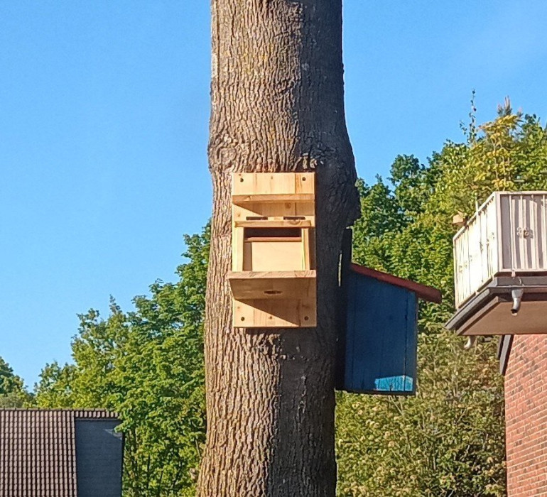 Behold! Squirrel feeder box!