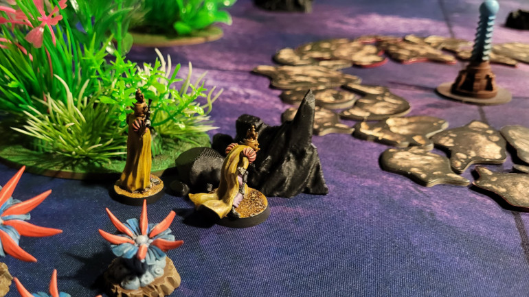 Coalition Viceroys skulking in the bushes.