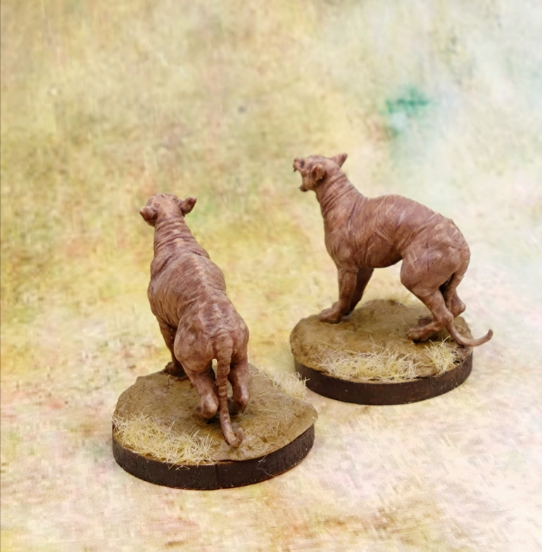 I used different flesh tones to give me the feel and patterntion I wanted.