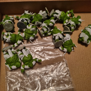 Photos of the teams coming out of storage