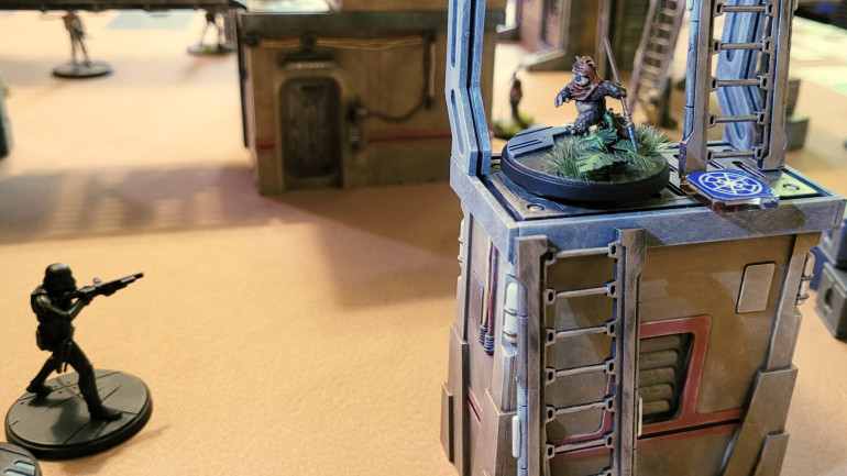 Where did that little furball go?