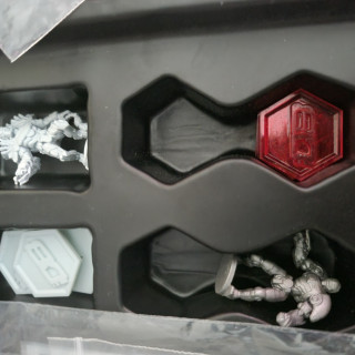 Photos of the teams coming out of storage