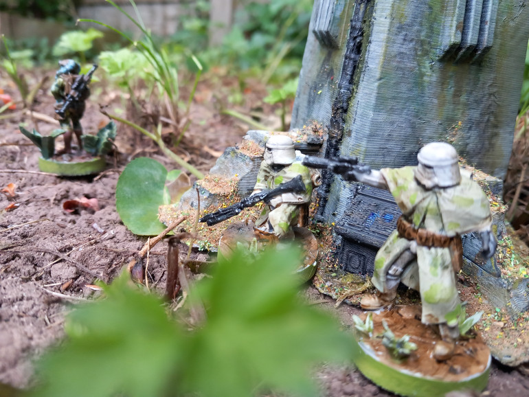 More Yavin4