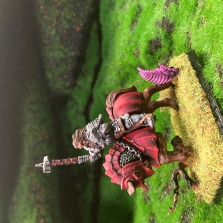 Knights of the White Wolf and the wizard, was terrible 90s sit-com