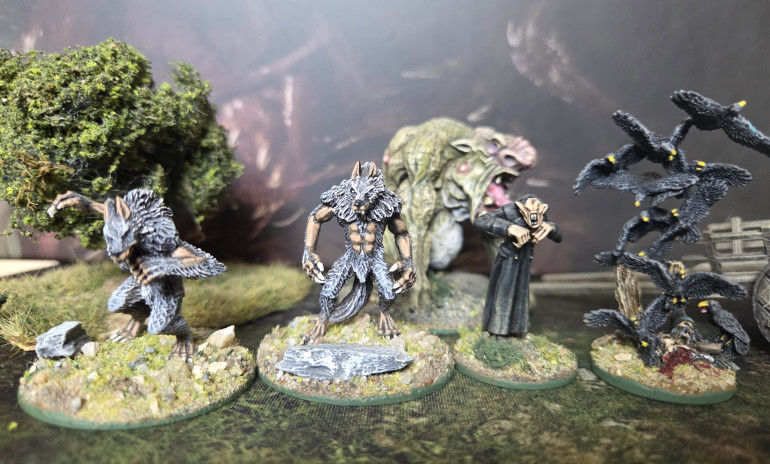A selection of monsters completed and re based for game. Vampire and Werewolves from Northstar Dracula's America, crows from Reaper Miniatures and the troll is from Warp miniatures ( had this model for so many years but until now never had a use for him).