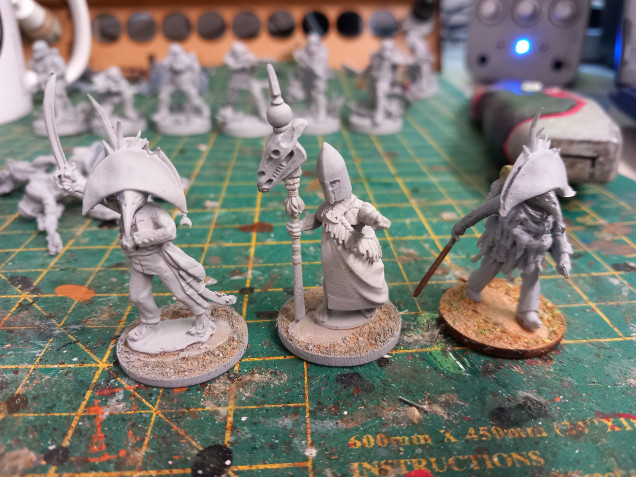 Some toadie second in command officers for both forces the fenn weed forces are made from Maori warriors from wargames Atlantic prints. The carrot forces are made from spare napoleonic spanish