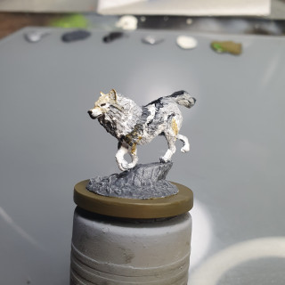 Face, base and more face.....