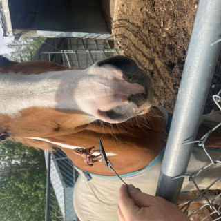 In the home stretch for the initial set on miniatures