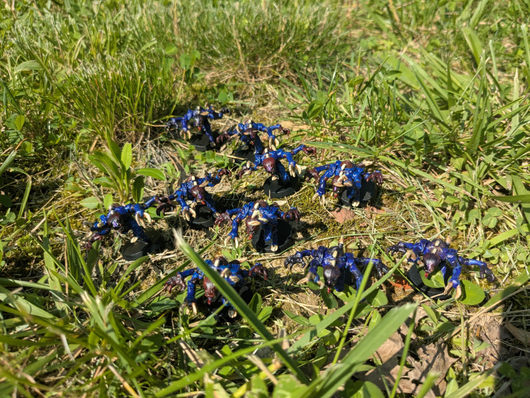 My wife says the colors pop in this one