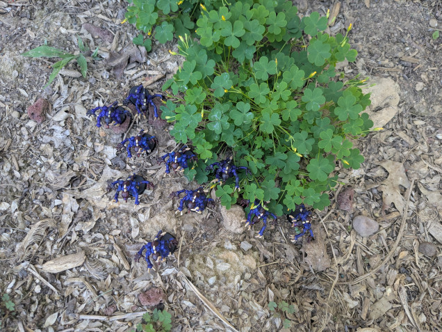 Unit Coherence is maintained