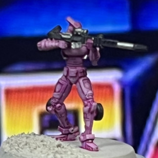 She maybe tiny but she will drop you from 500 yards