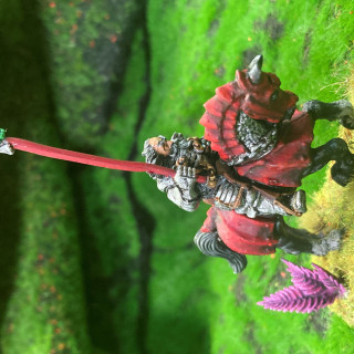 Knights of the White Wolf and the wizard, was terrible 90s sit-com