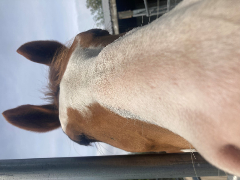 Good boy Ace. Yes, I love you too.