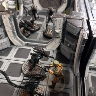 Scenario Three The Massey Medical Facility