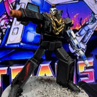 I pity the Decepticon that insults my jewellery!!