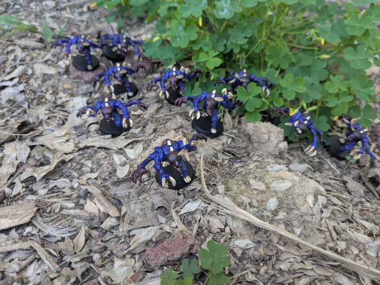 Emerging from the foliage for the attack