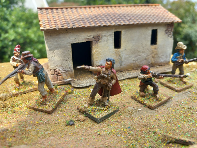 Can't do a Spanish force without some guerrilla. Shakos and bayonets force list only has a unit of 8 made of perry metals. But their leader is from Bad Squiddo. She resembles a certain character from tv land.