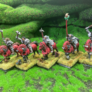 Knights of the White Wolf and the wizard, was terrible 90s sit-com