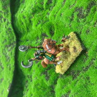 Knights of the White Wolf and the wizard, was terrible 90s sit-com