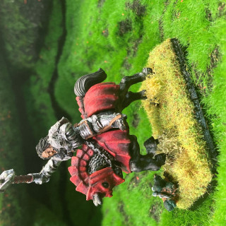 Knights of the White Wolf and the wizard, was terrible 90s sit-com