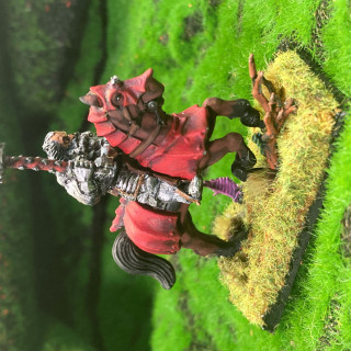 Knights of the White Wolf and the wizard, was terrible 90s sit-com