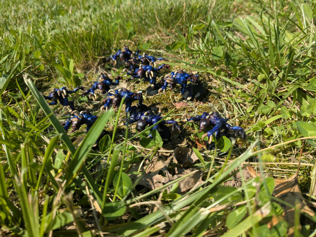 Direct sunlight makes the new vs old more obvious - the old has redder brown