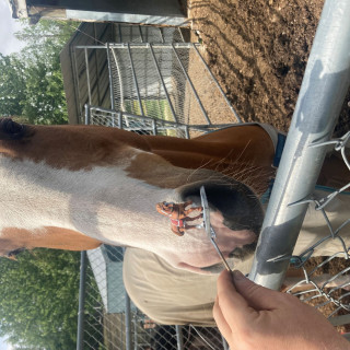 In the home stretch for the initial set on miniatures