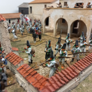 Spanish forces