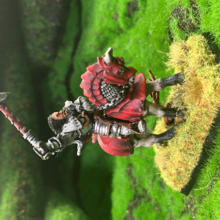 Knights of the White Wolf and the wizard, was terrible 90s sit-com