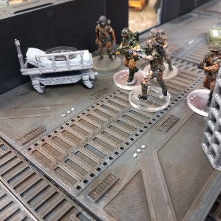 Scenario four: the entrance to coney colony