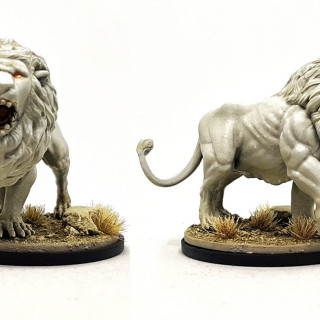 White Lions & The People Wearing Them