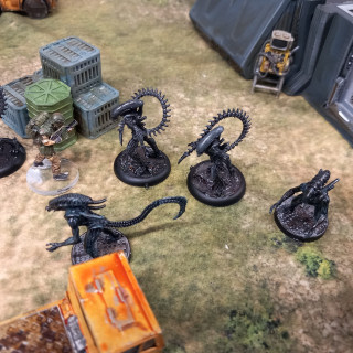 Scenario 6: colonial marshals office