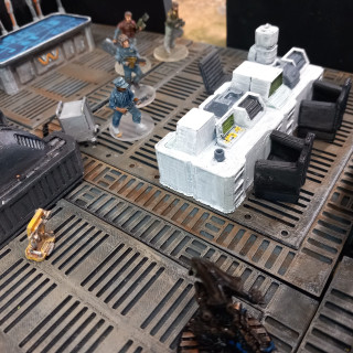 Scenario four: the entrance to coney colony